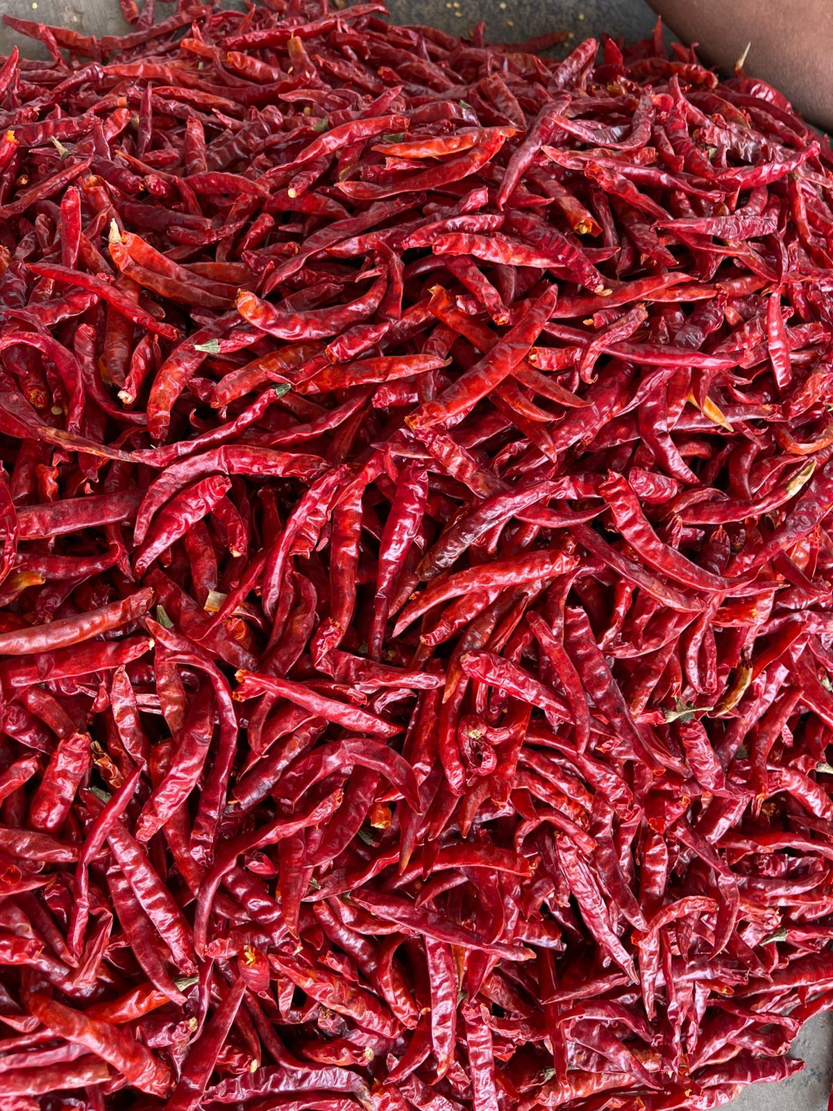 RED CHILLI :